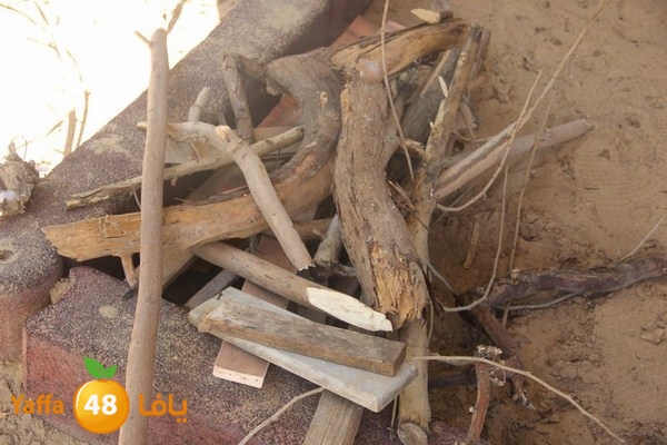 kids 3onab rawda 0430 (97).JPG